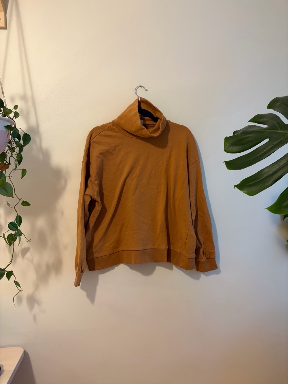 100% Cotton Turtleneck Sweatshirt in Rust